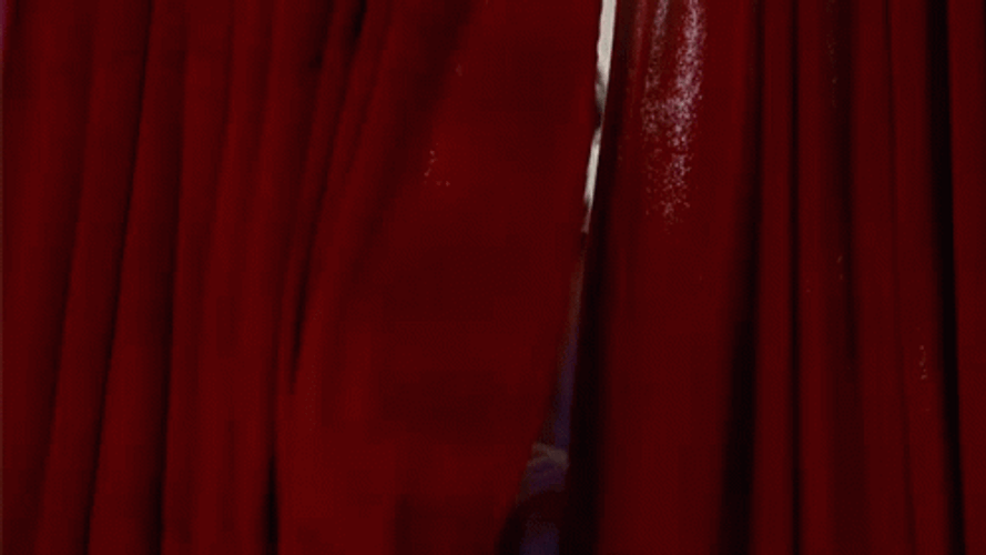 Adam Brody American Celebrity GIF