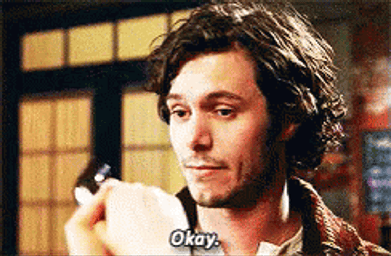 Adam Brody Cool Okay GIF
