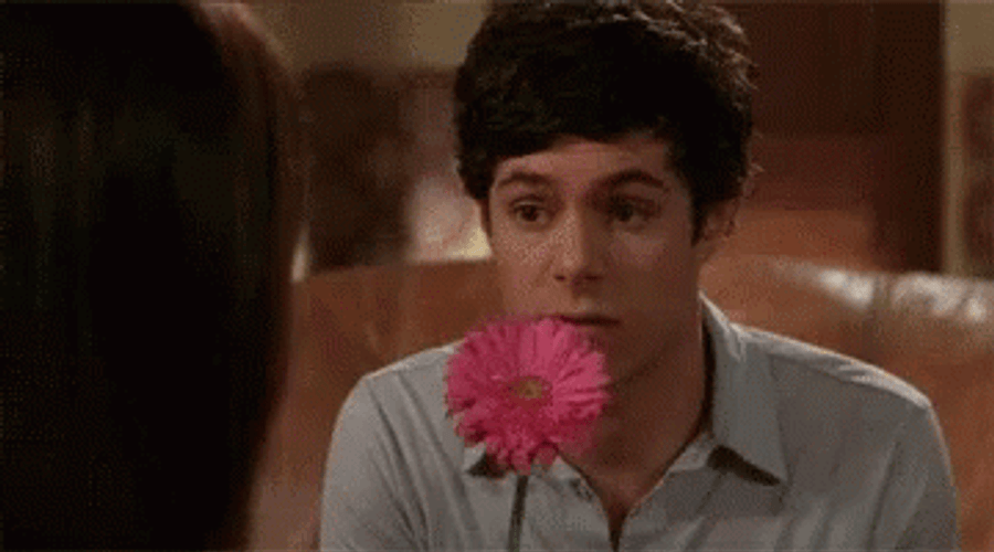 Adam Brody Flowers For You GIF
