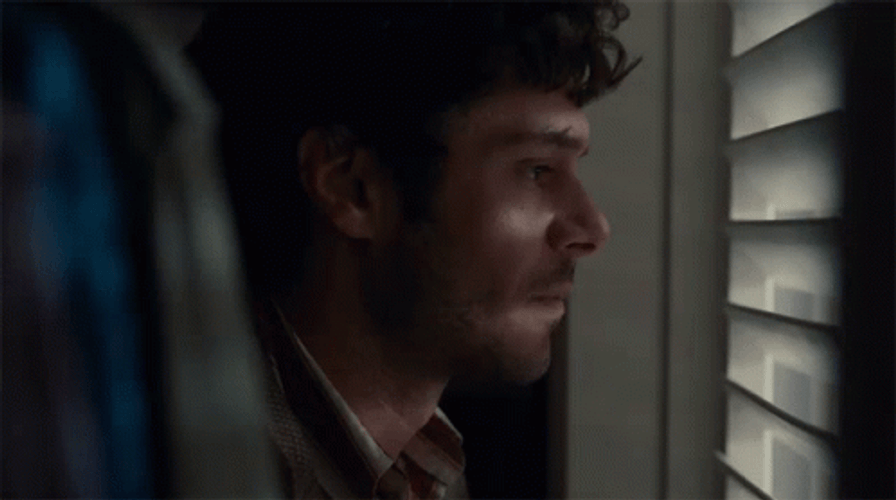Adam Brody Head Shake GIF