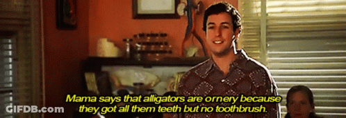 Adam Sandler Says That Alligators Are Ornery Because They Got All Their Teeth GIF
