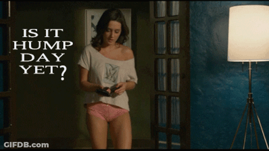 Addison Timlin Wednesday Morning Funny GIF