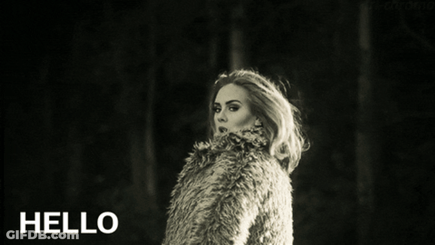 Adele Hello From The Other Side Sea Lion GIF