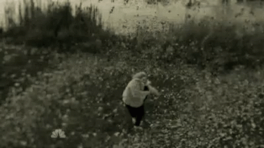 Adele Hello Walking To Windy Field GIF