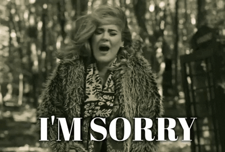Adele I Am Sorry GIF