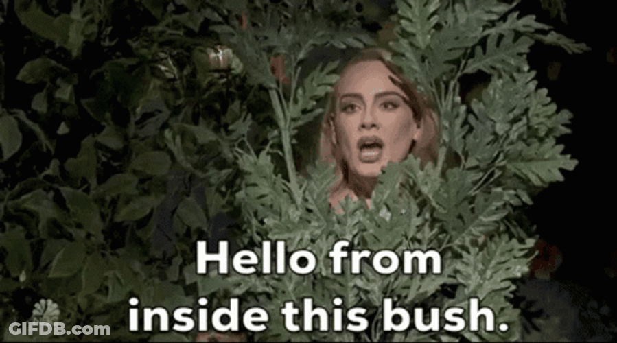 Adele Performing Live On NBC Channel GIF