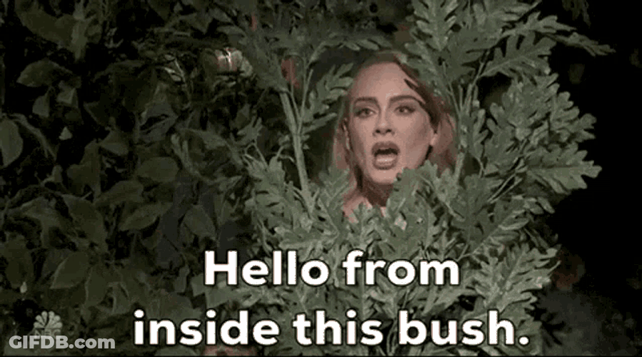 Adele Sn P GIF