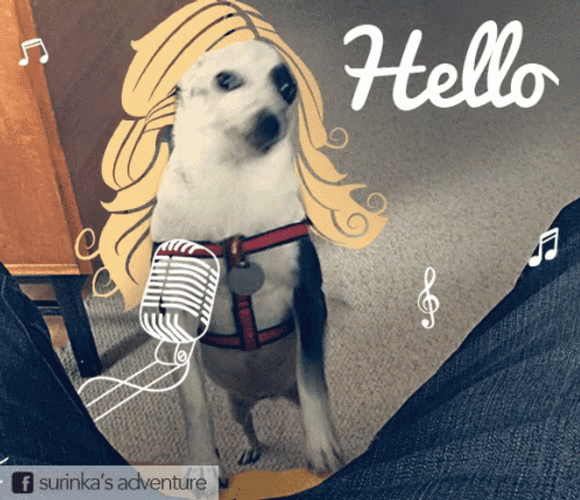 Adele Song Hello It's Me GIF