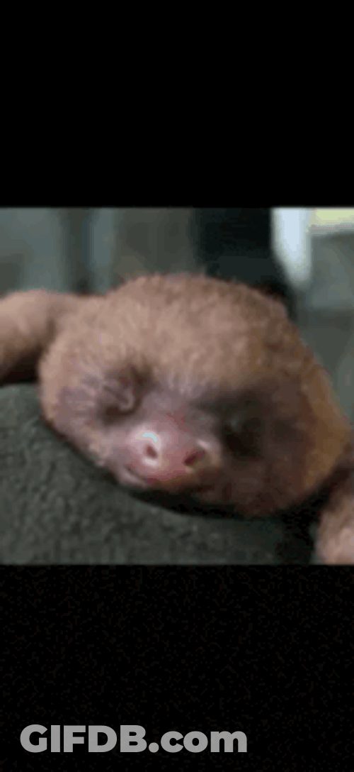 Adenecon GIF
