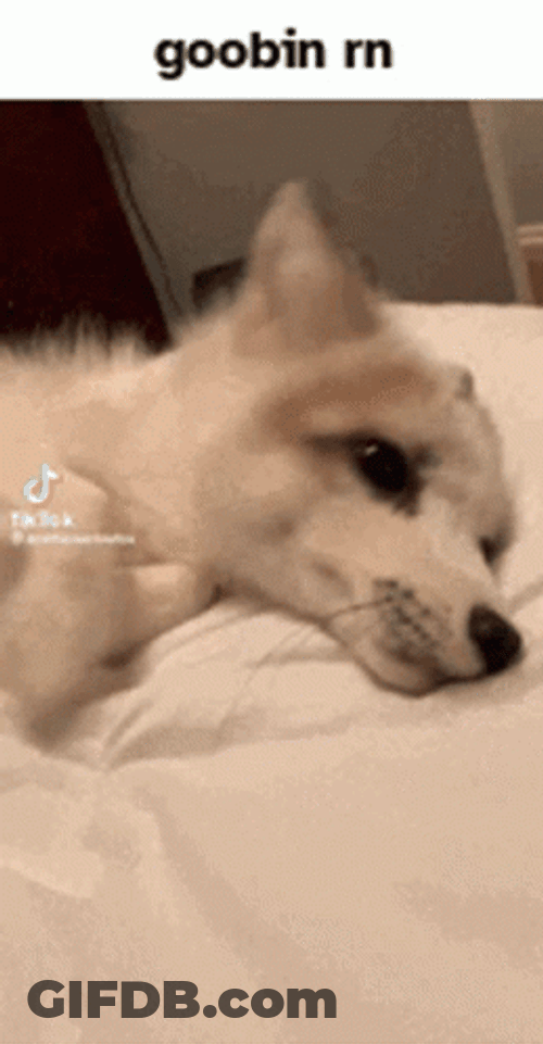Adhd Bed Position GIF