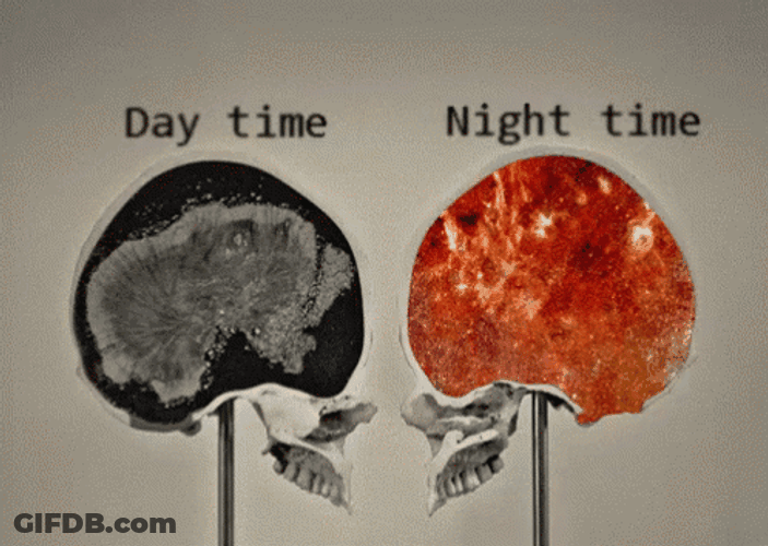 Adhd Brain At Night GIF