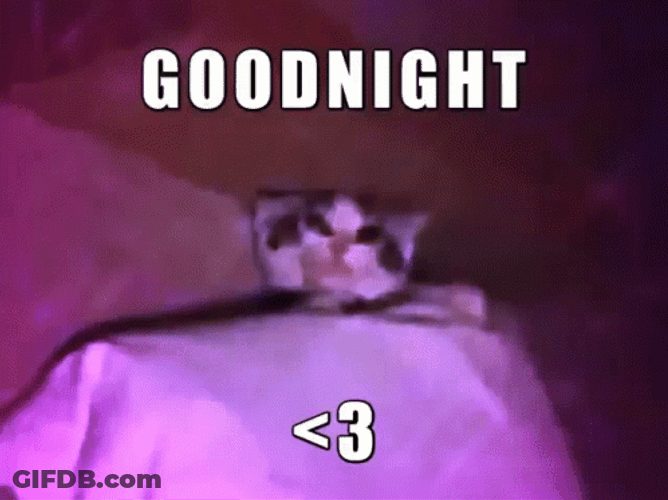 Adhd Goodnight Cat GIF