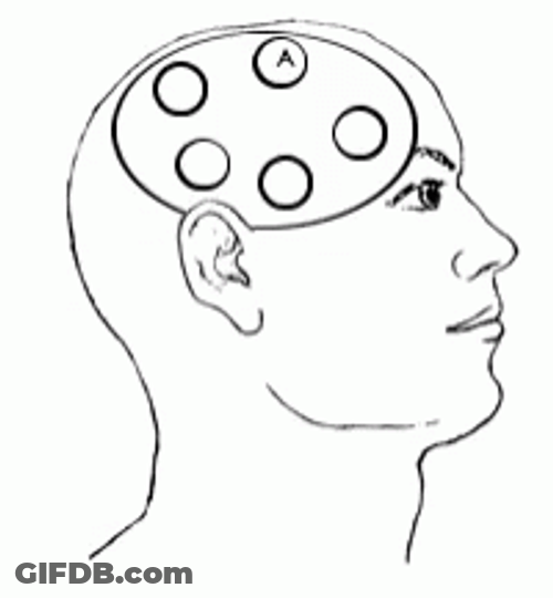 Adhd In My Brain GIF