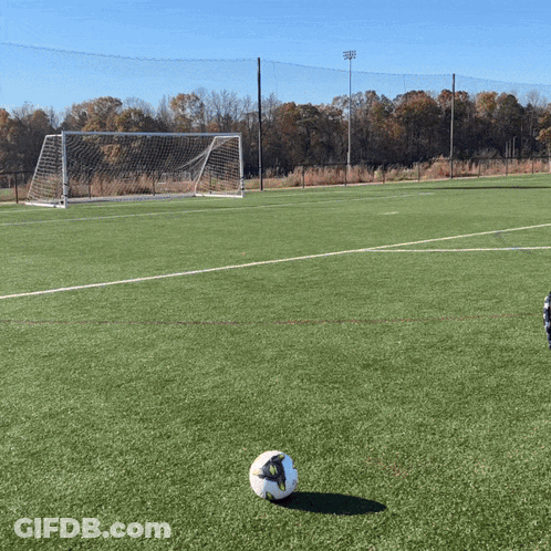 Adidas Soccer Ball On Field GIF