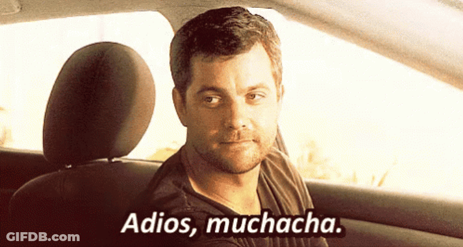 Adios Muchacha Salute Car GIF