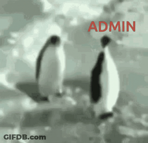 Administrative Professionals Day Penguin Slapping Another Penguin GIF