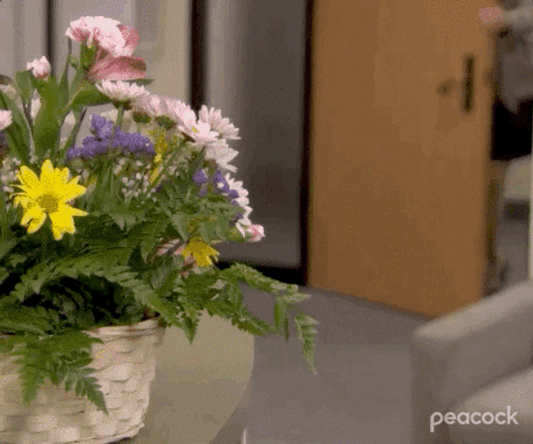 Administrative Professionals Day Woman Happy To See Flower GIF