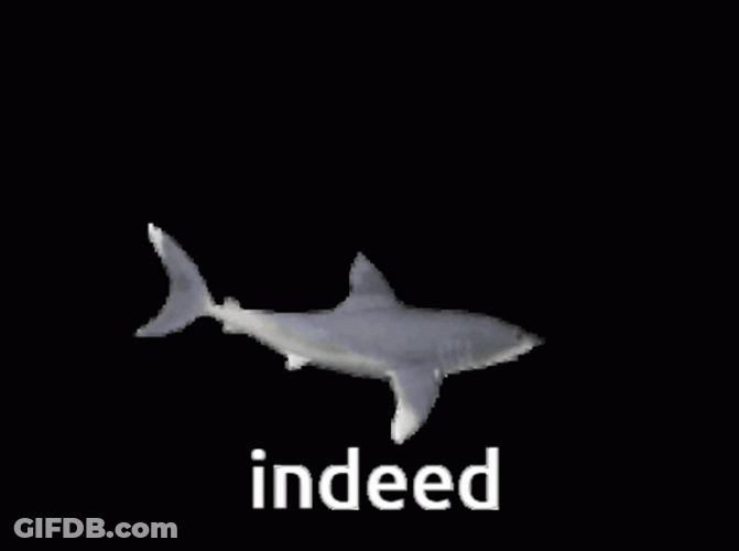 Adorable 3D Shark Indeed GIF