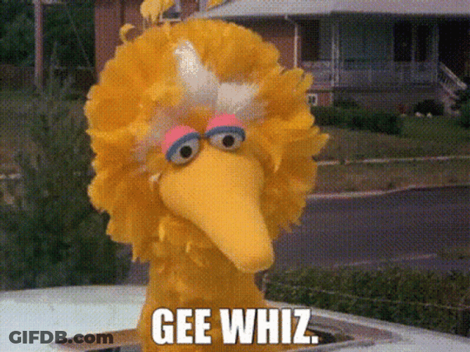 Adorable Big Bird Gee Whiz GIF