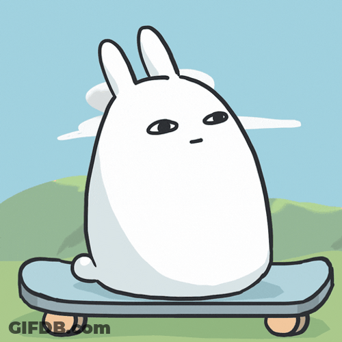 Adorable Bunny Skateboard GIF