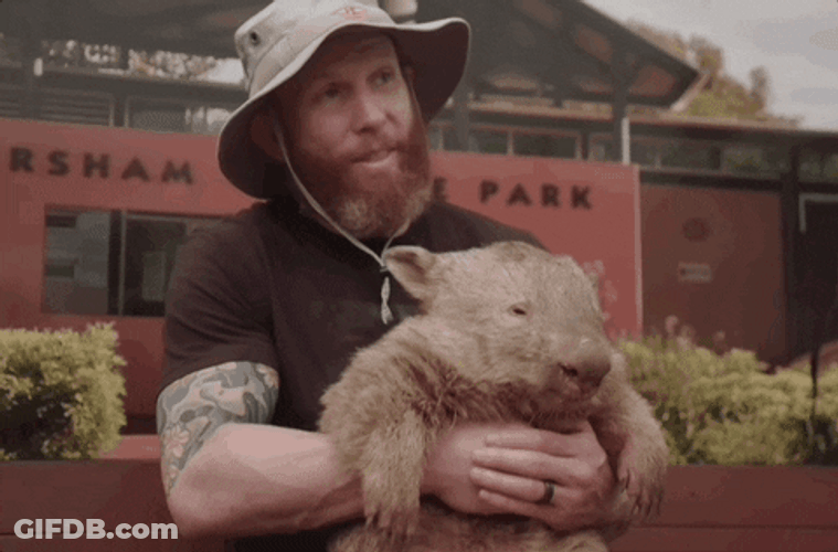 Adorable Capybara Furdad Big Smile GIF