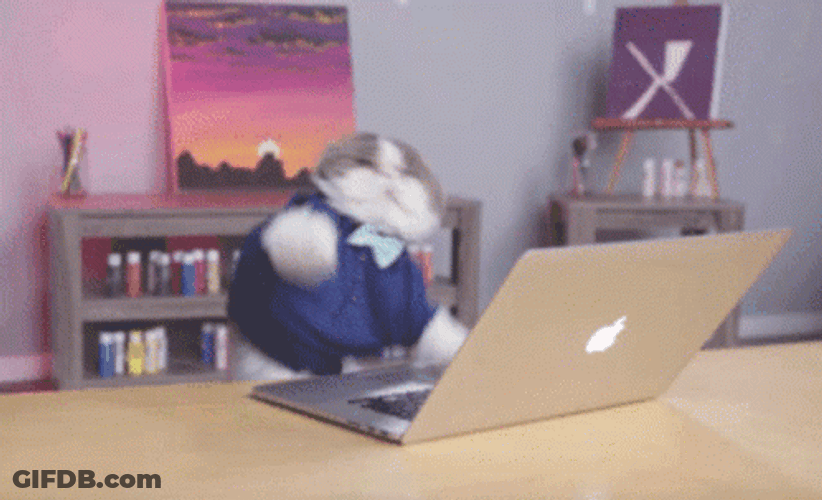 Adorable Cat Dancing Typing Fast GIF