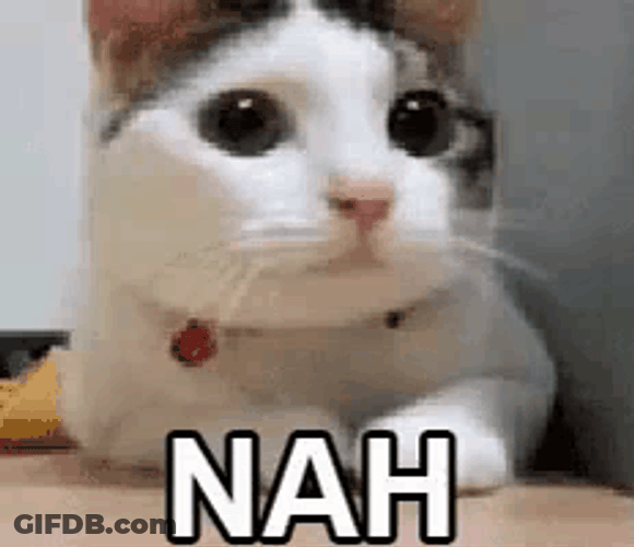 Adorable Cat Shaking Head Hell Nah GIF