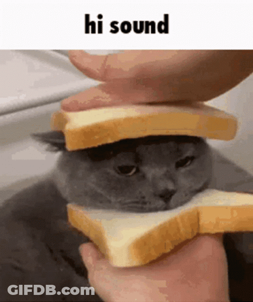 Adorable Cat Squeezed Bread Sound GIF