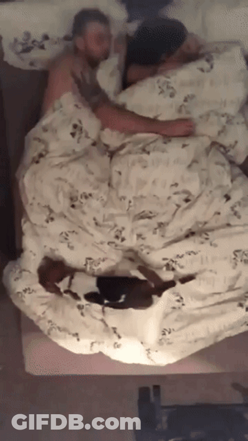 Adorable Couple Bed Time Lapse GIF
