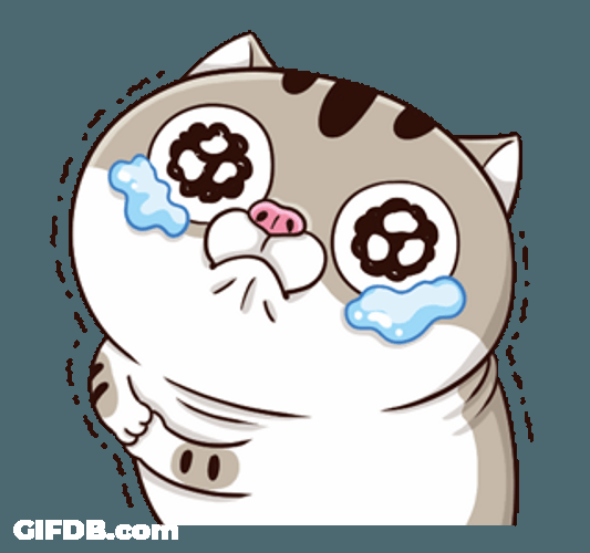 Adorable Crying Fat Cat GIF