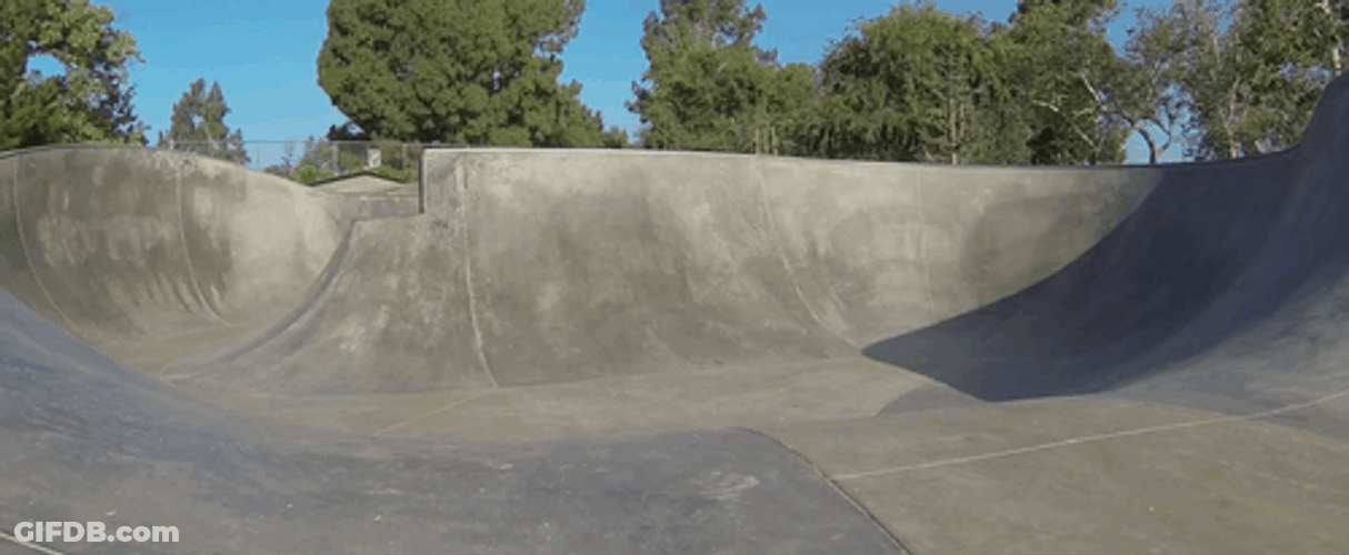 Adorable Dog Riding Skateboard On Skating Rink GIF