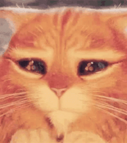 Adorable Frail Puss In Boots Eyes GIF