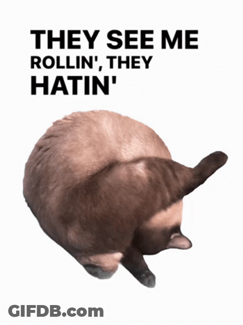 Adorable Furball Fury They See Me Rollin GIF