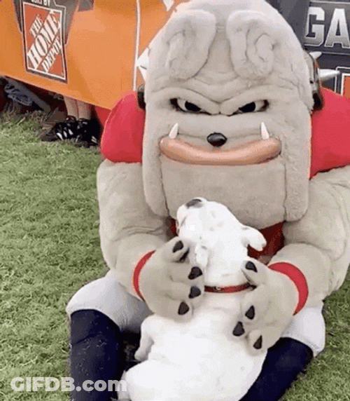 Adorable Georgia Bulldog Mascot GIF
