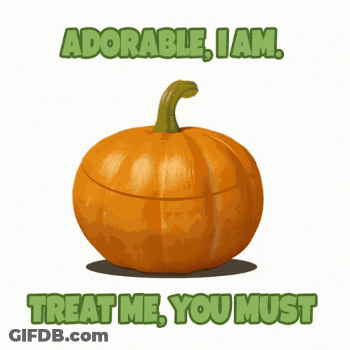 Adorable I Am Treat Me You Must Is Written On A Poster GIF
