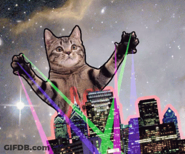 Adorable Kitty Laser Paws GIF