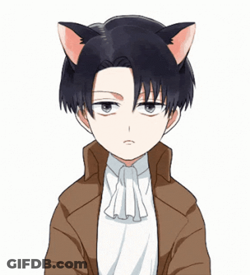 Adorable Levi Ackerman Cat Ears GIF