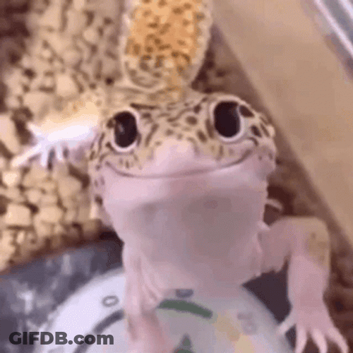 Adorable Lizard Puppy Dog Eyes GIF
