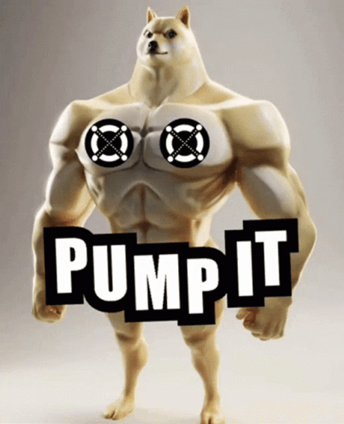 Adorable Masculine Doge GIF