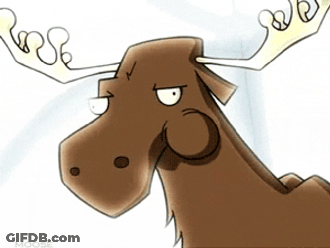 Adorable Moose Munching GIF