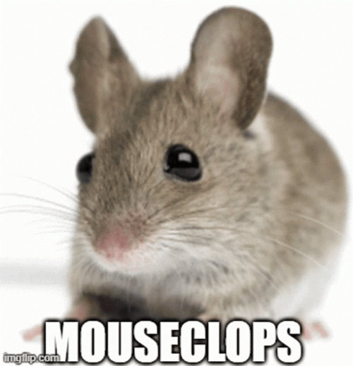 Adorable Mouse Cyclops GIF