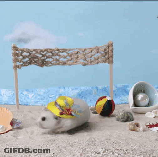 Adorable Mouse Wearing Colorful Hat GIF