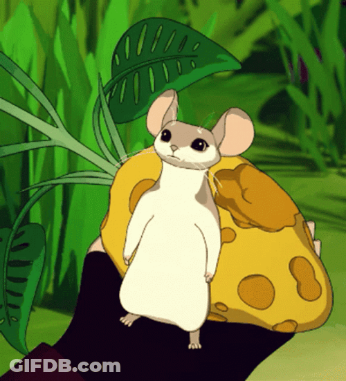Adorable Mouse What's Wrong GIF