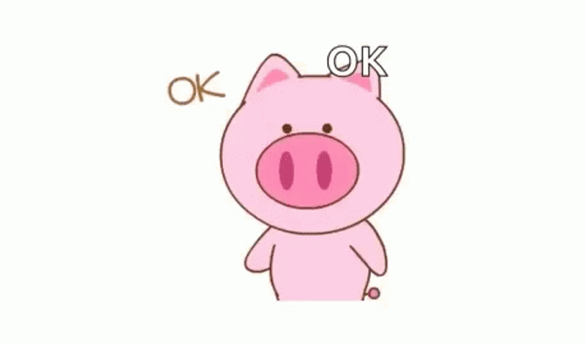 Adorable Pig Okay Gesture GIF