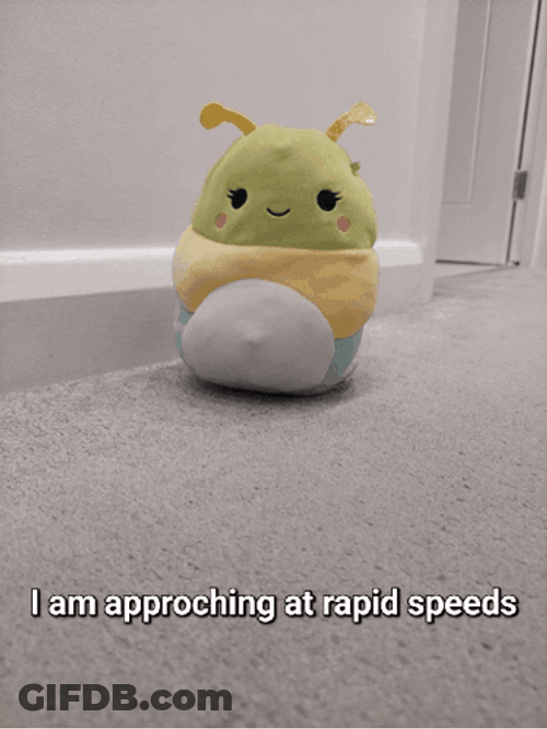 Adorable Squishmallow Bug Approaching Speed GIF