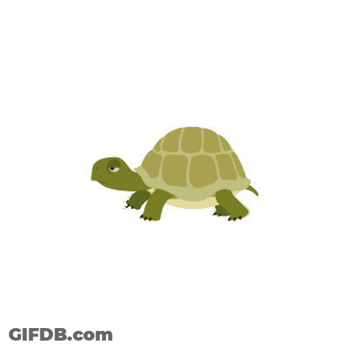 Adorable Turtle Walking Tiny Steps GIF