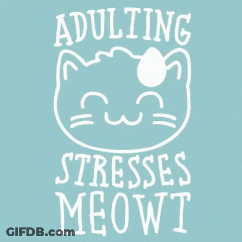 Adulting Stresses Meowt GIF