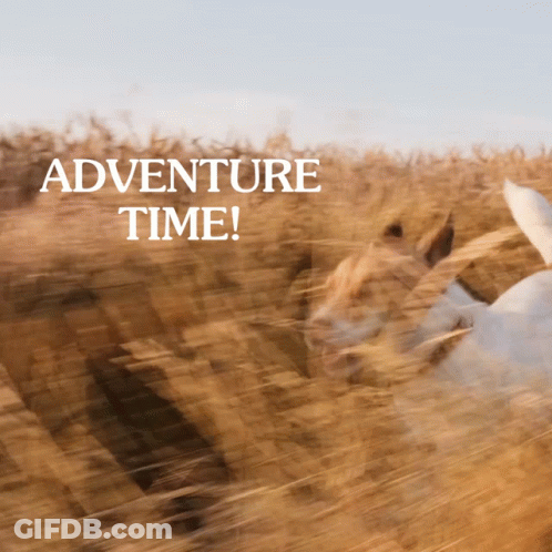 Adventure Time Text On Field GIF