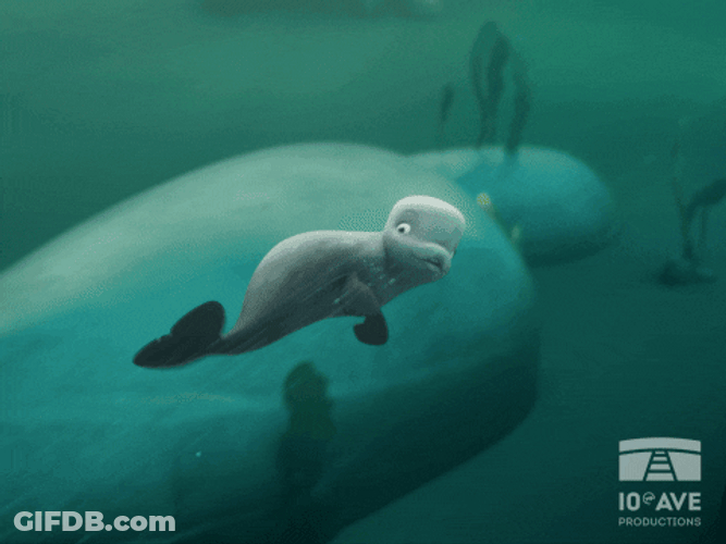Adventurous Little Talking Beluga GIF