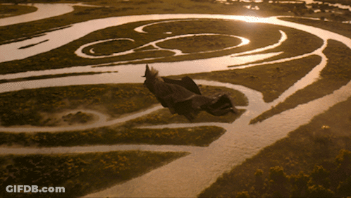 Aerial View Bird Flying Over River With Letter C GIF